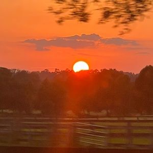 Meet your Posher, Niday